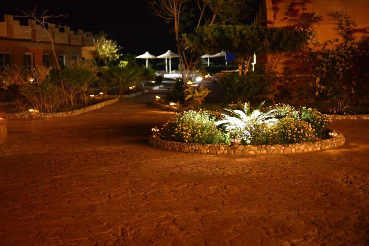Silver Beach Boutique Hotel (Adults Only) El Qoseir المظهر الخارجي الصورة