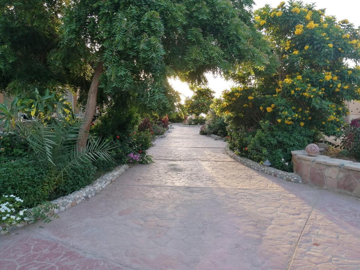 Silver Beach Boutique Hotel (Adults Only) El Qoseir المظهر الخارجي الصورة
