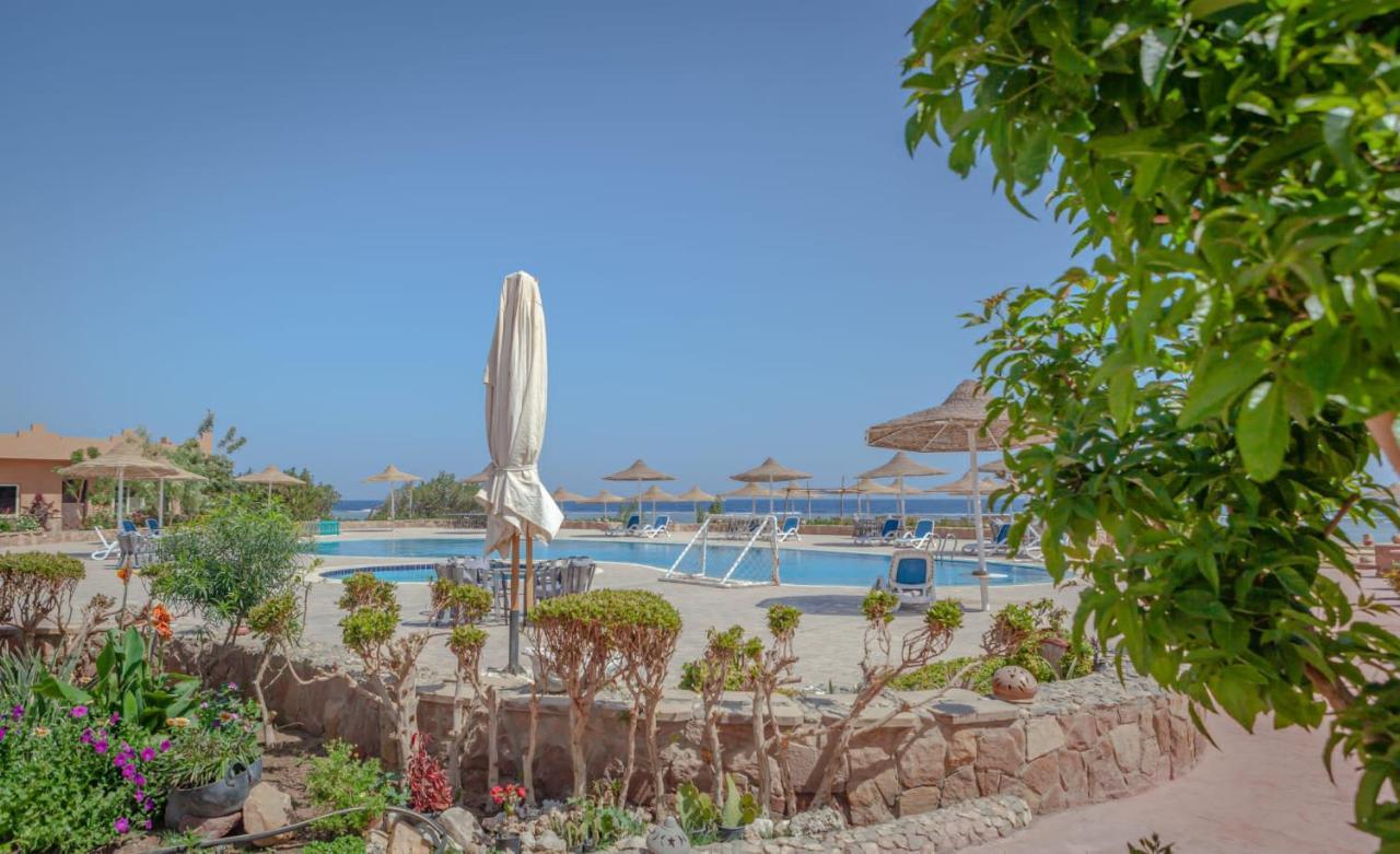 Silver Beach Boutique Hotel (Adults Only) El Qoseir المظهر الخارجي الصورة