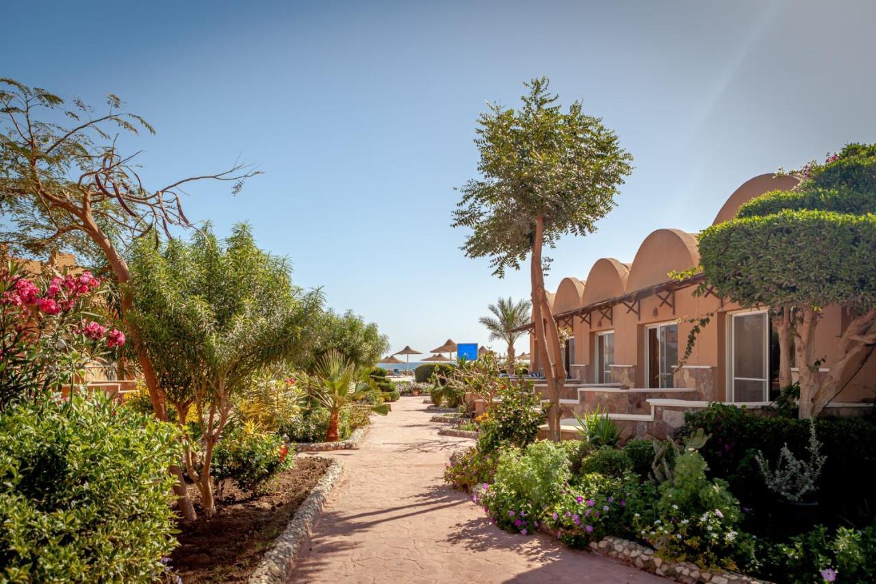Silver Beach Boutique Hotel (Adults Only) El Qoseir المظهر الخارجي الصورة