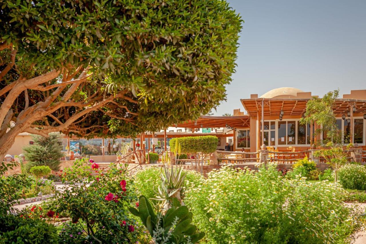 Silver Beach Boutique Hotel (Adults Only) El Qoseir المظهر الخارجي الصورة