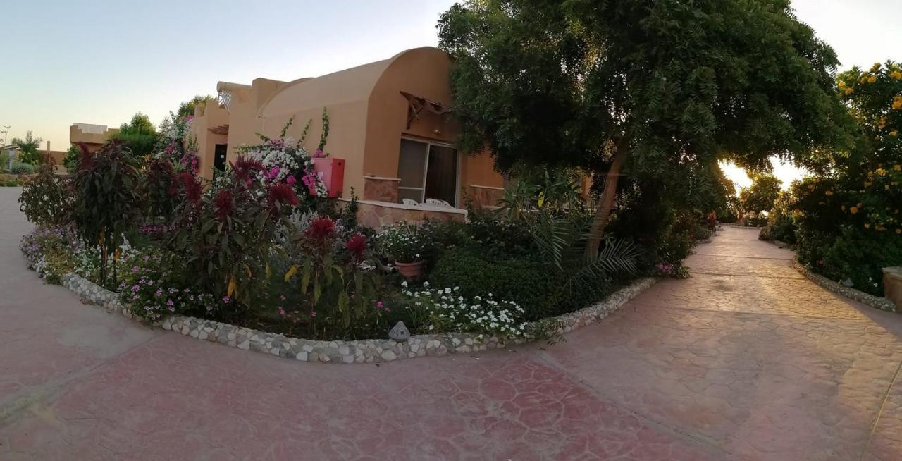 Silver Beach Boutique Hotel (Adults Only) El Qoseir المظهر الخارجي الصورة