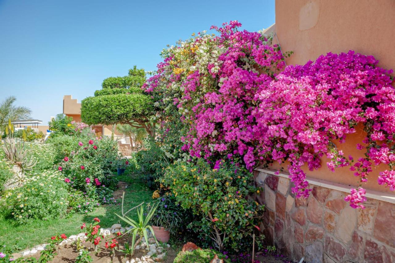 Silver Beach Boutique Hotel (Adults Only) El Qoseir المظهر الخارجي الصورة